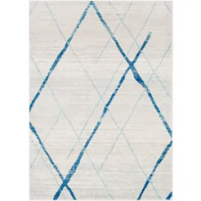 Area Rug in blue with grey 7 x 10'