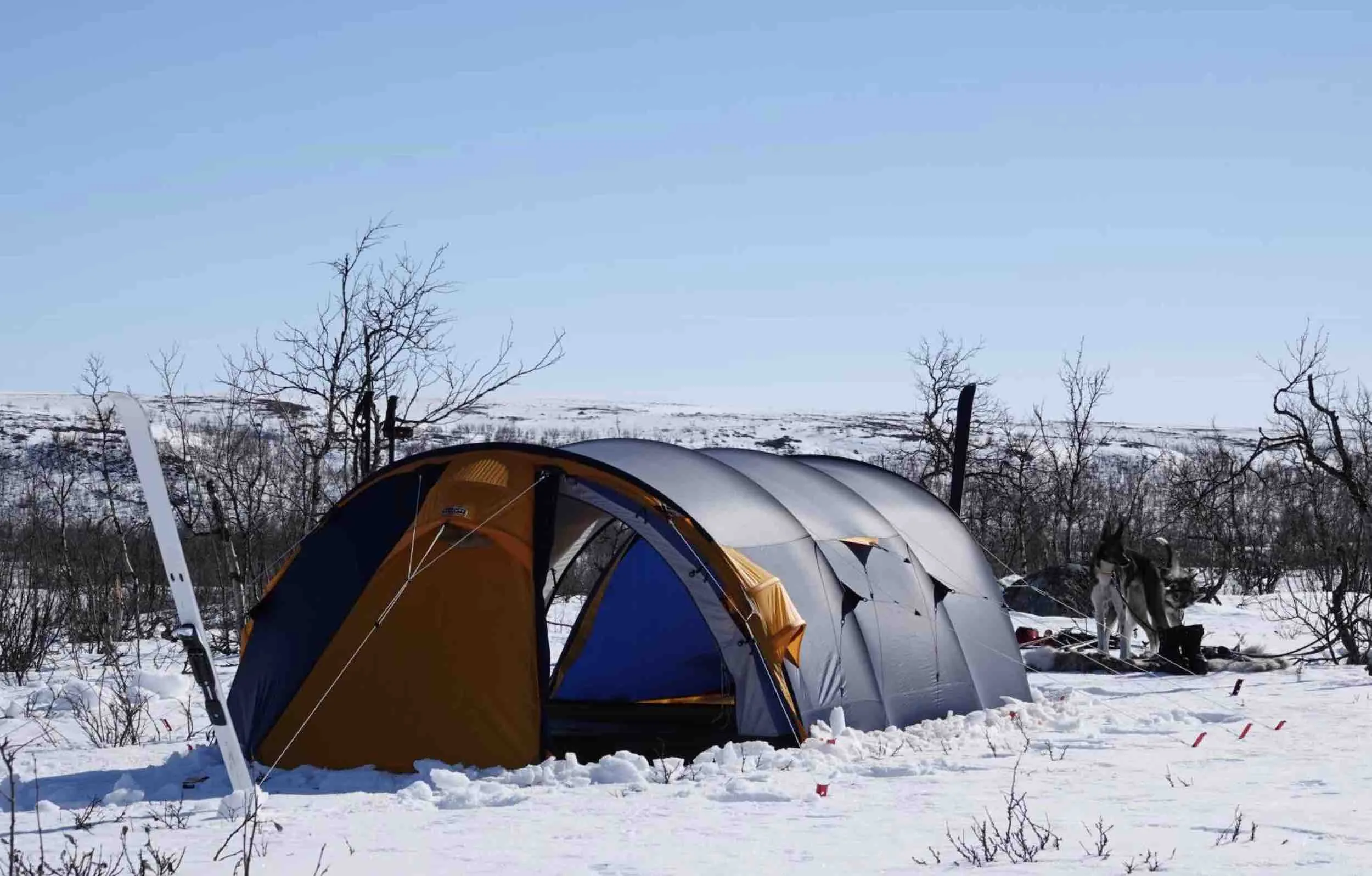 Barents Arctic 4-Person Expedition Tent - Durable, Weather-Resistant, and Easy to Set Up for All-Season Camping Adventures