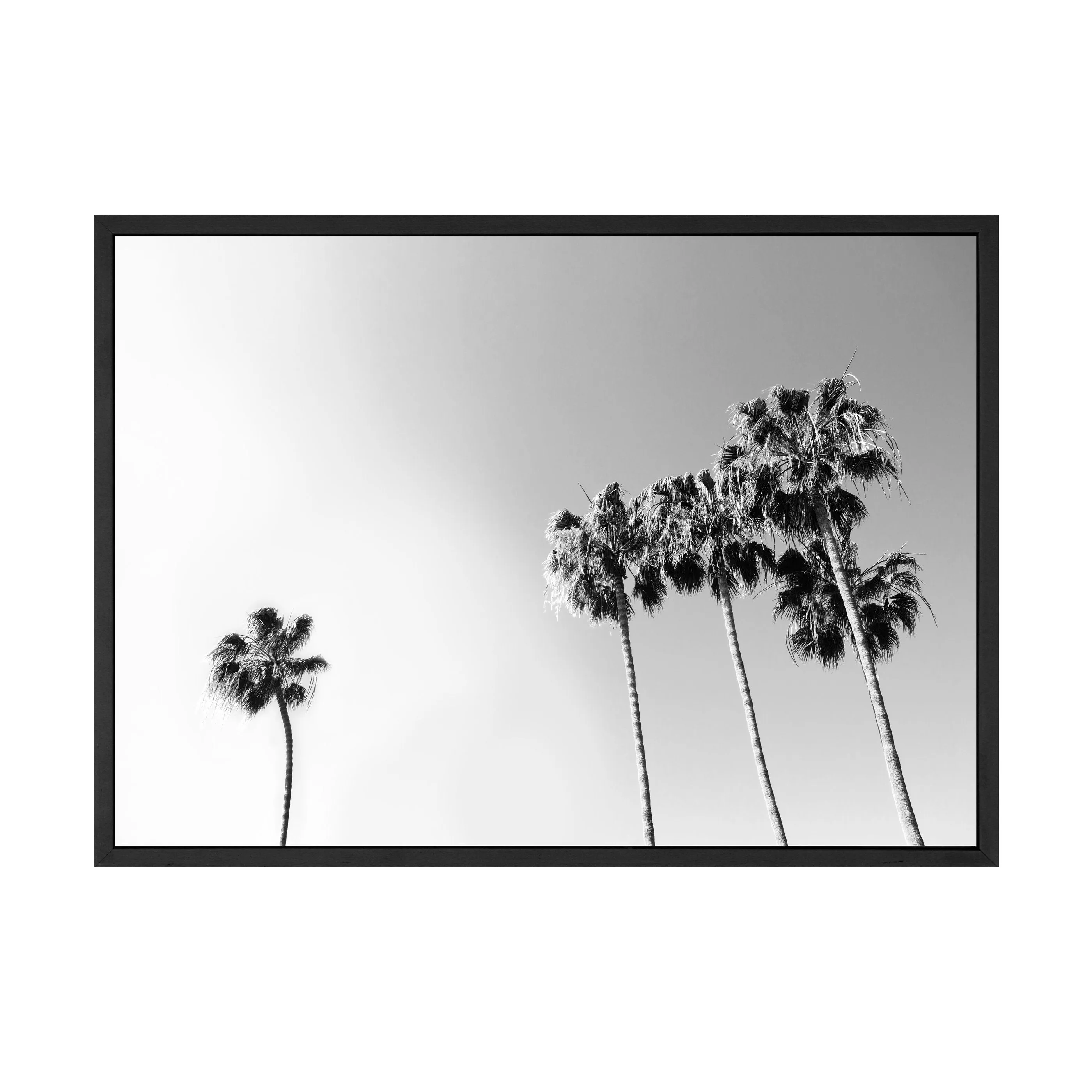 BLACK AND WHITE PALM PRINT