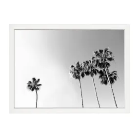 BLACK AND WHITE PALM PRINT