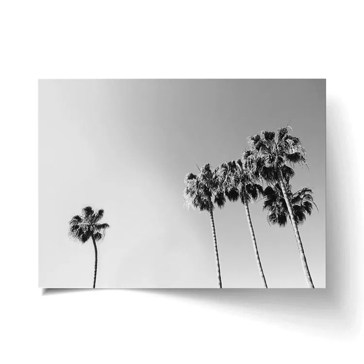 BLACK AND WHITE PALM PRINT