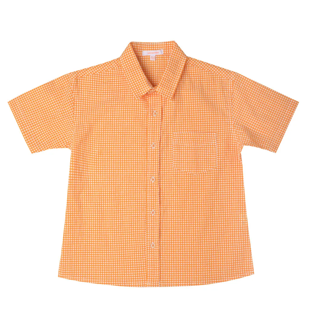 Boys Shirt Mini Check