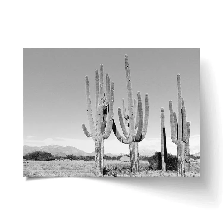 CACTUS PHOTOGRAPHY PRINT