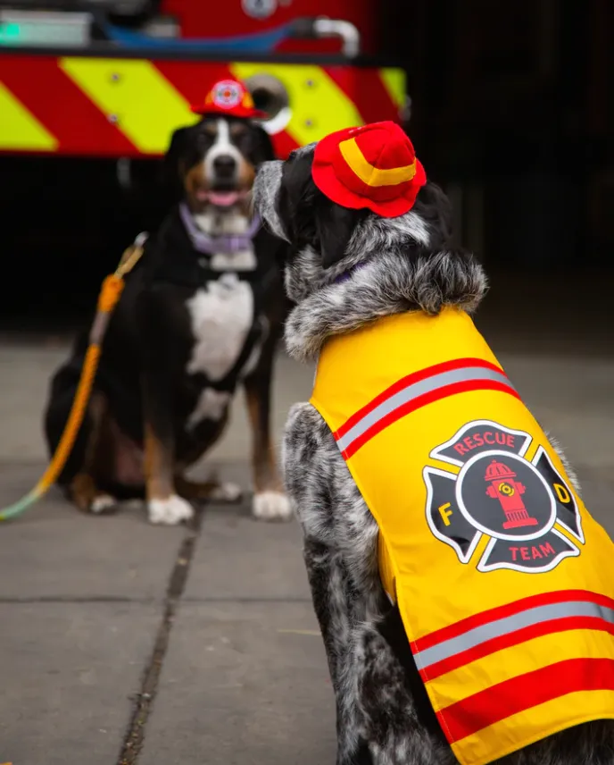 Fire Fighter Costume