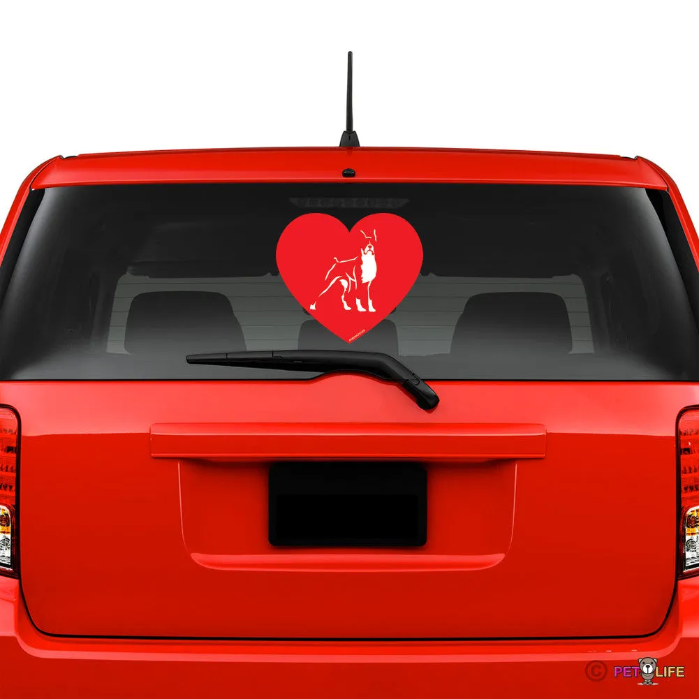 Love Boxer Sticker